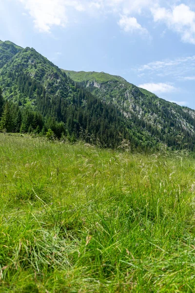 stock image mountain landscape of the carpathians 