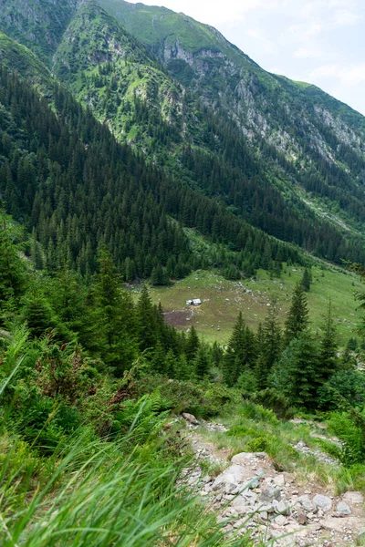 Vackra Bergslandskap Med Skog — Stockfoto