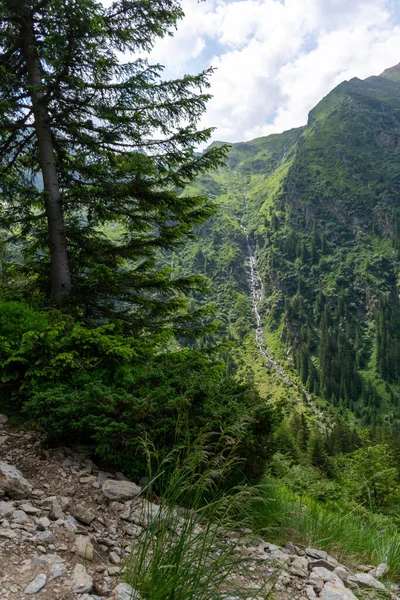 Yazın Dağ Manzarası — Stok fotoğraf