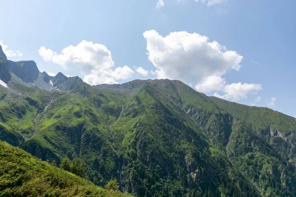 Panorama Montanha Com Uma Floresta Verde Fundo — Fotografia de Stock