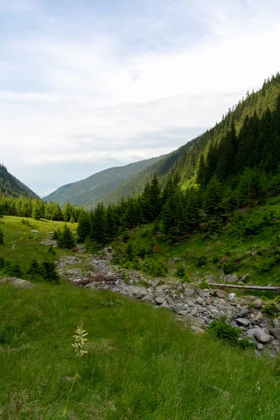 喀尔巴阡山脉与河流的夏季风景 — 图库照片