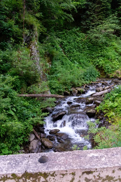 Красивый Водопад Лесу — стоковое фото