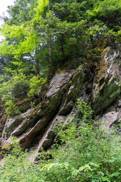 夏の山と岩 — ストック写真