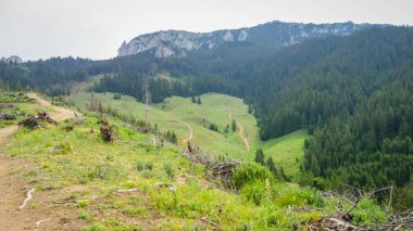 Karpatlar'ın dağ manzarası 