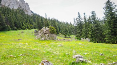 Alplerdeki yeşil dağ vadisi 