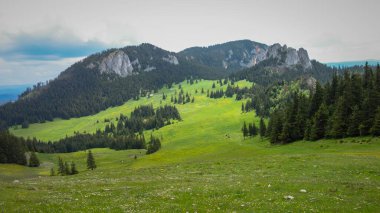 Yazın Karpat Dağları 'ndaki dağ manzarası 