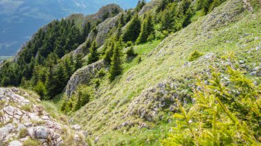 Dağlarda yürüyüş parkuru. 