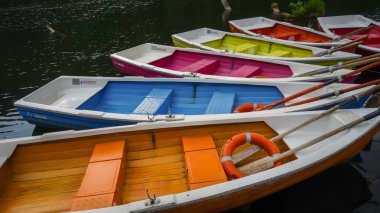 Renkli tekneler küçük bir köyde nehre demirlemiş. 