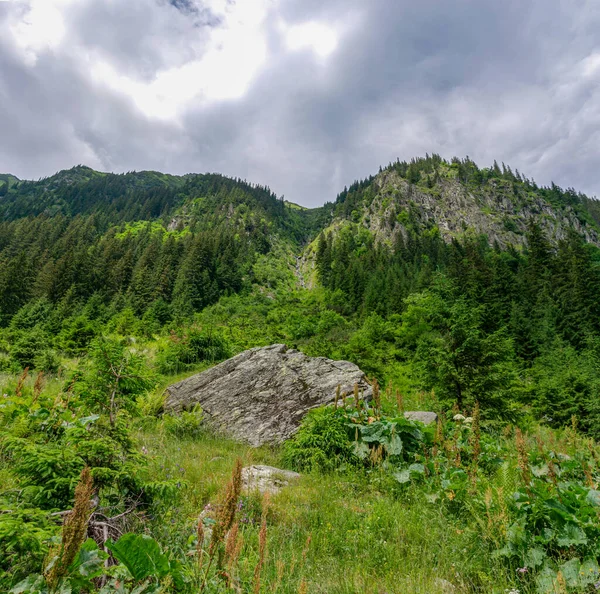Schöne Berglandschaft Den Karpaten — Stockfoto