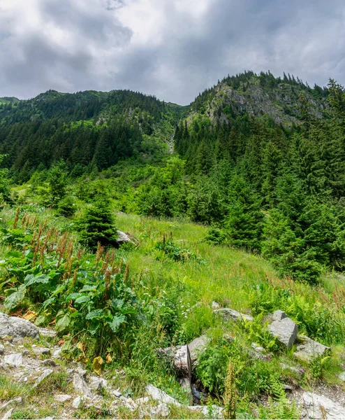 Nyári Táj Tatra Hegyen — Stock Fotó
