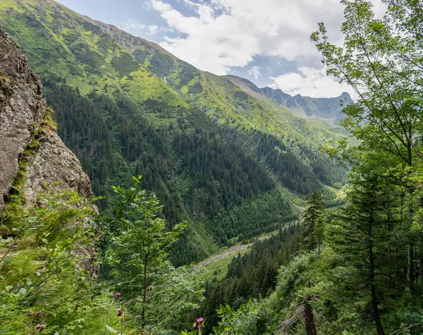Bela Paisagem Montanhosa Com Floresta Verde Dia Verão Caucasus — Fotografia de Stock