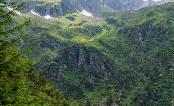 Yeşil dağ ve mavi gökyüzü 