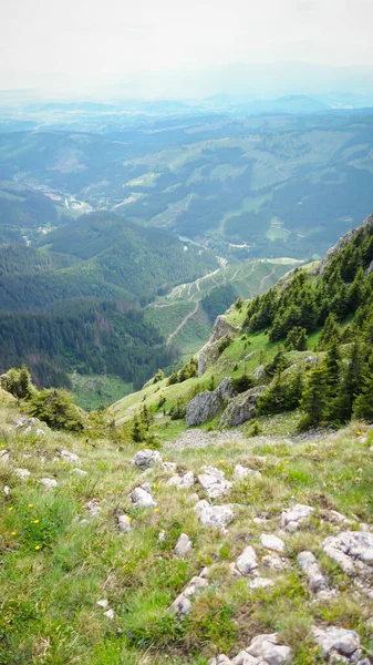 Wunderschöne Berglandschaft Den Ukrainischen Karpaten — Stockfoto