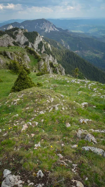 Beautiful Landscape Mountain Carpathians — Stock Photo, Image