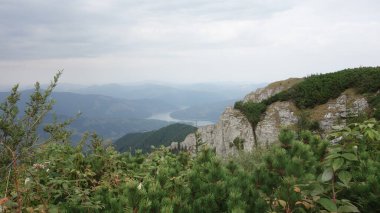 Bereketli yeşil bitki örtüsü ve dolambaçlı bir nehri olan manzaralı bir dağ manzarası..