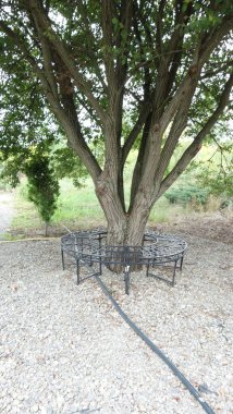 Rustic metal bench encircles a tree surrounded by gravel and lush greenery. clipart