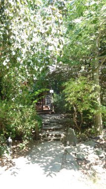 Bereketli yeşil yaprakların arasından süzülen benekli güneş ışığıyla sakin bahçe sahnesi.