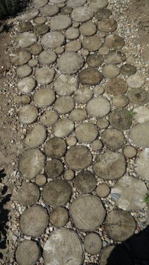 Pattern of round tree stump slices embedded in pebbled ground. clipart