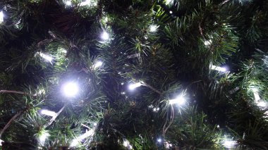 Parlak beyaz ışıklarla aydınlatılmış Noel ağacı dallarının yakın çekimi.