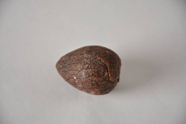 Close-up of a single brown nut with a rough textured shell on a plain background. clipart