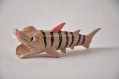 Bir stüdyo ortamında ağzı açık çizgili bir köpek balığı heykelciğinin yakın çekimi..