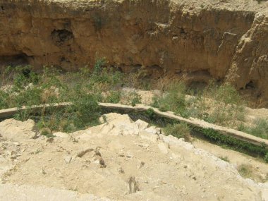 Kaya çöl arazisi ve seyrek bitki örtüsü.