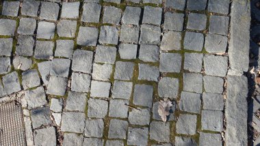 Cobblestone path with patches of green moss. clipart