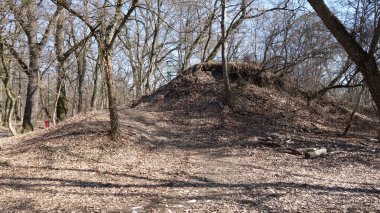 Ormanlık arazide eski bir tümsek.