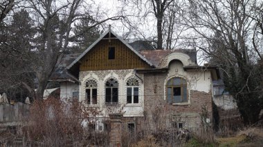 Ormanlık alanda terk edilmiş bir köy evi..