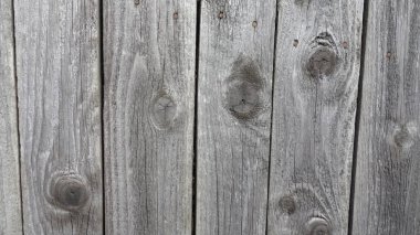 Görünür buğday ve düğümlerle eskimiş ahşap çitler..