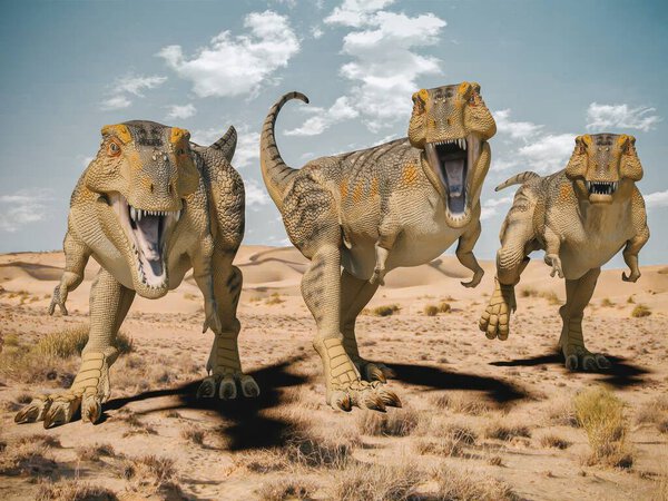 Three dinosaurs roaring in a desert landscape.