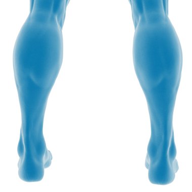 Kas yapan insan bacaklarının 3 boyutlu çizimi.