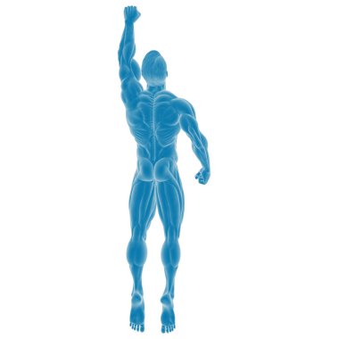 Mavi tonlarda insan anatomisi illüstrasyonu