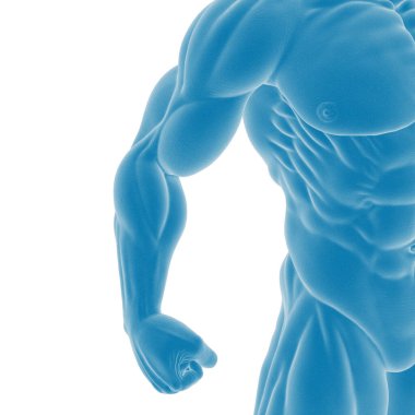 Mavi tonlu, kaslı insan anatomisi çizimi