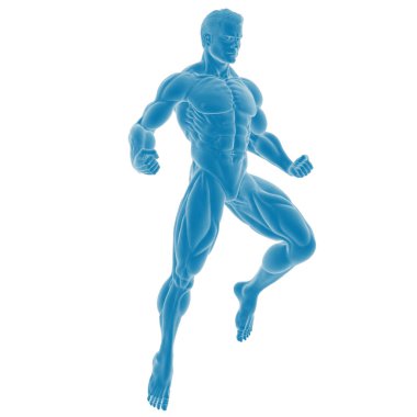 Kaslı bir erkek figürünün anatomik çizimi.
