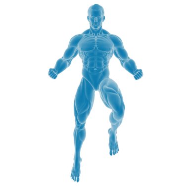 3 boyutlu kaslı erkek anatomisi modeli