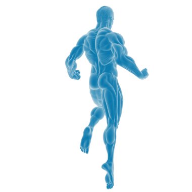 Hareket halindeki insan kas anatomisinin 3 boyutlu çizimi.