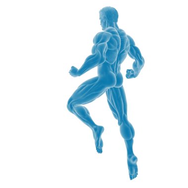 Dinamik poziyonda kaslı erkek anatomisi çizimi