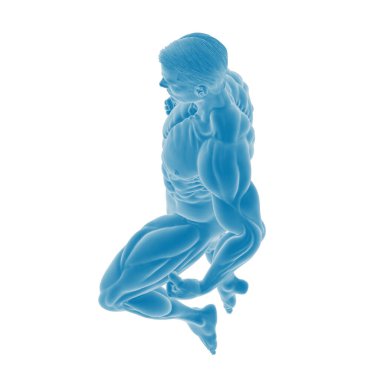 Mavili erkek kas anatomisinin 3 boyutlu canlandırması