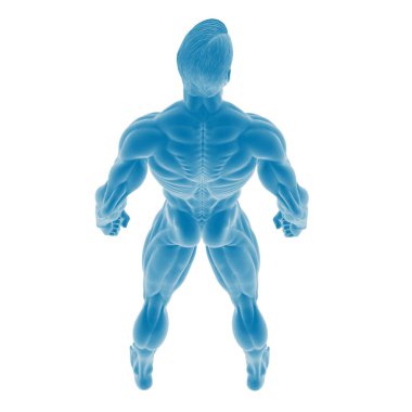 Mavili Kaslı Erkek Şeklinin 3 Boyutlu Çizimi.