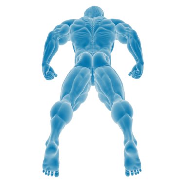 Mavi tonda insan anatomisinin detaylı çizimi
