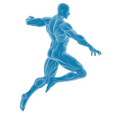 Mavi erkek anatomisi çiziminin dinamik duruşu