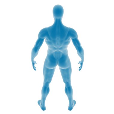 Arkadan stilize edilmiş mavi insan anatomisi silueti