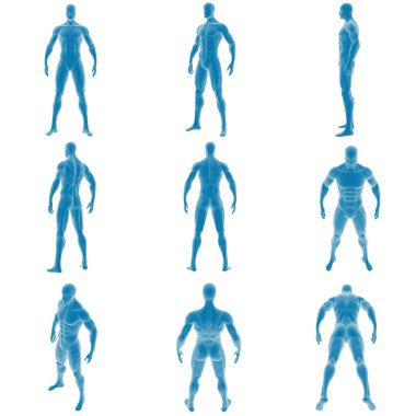 Mavili erkek anatomik modelinin 3D görüntüsü.