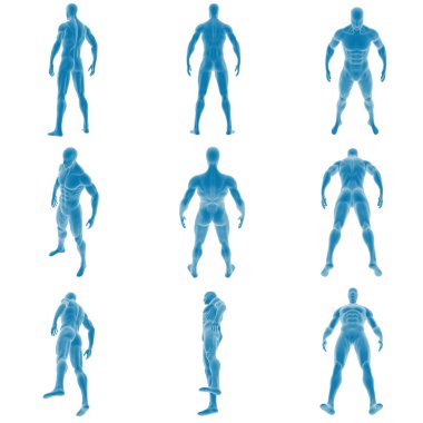 Çeşitli pozlarda 3D mavi erkek anatomisi figürleri