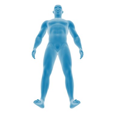 Beyaz arkaplanda mavi anatomik erkek figürü.