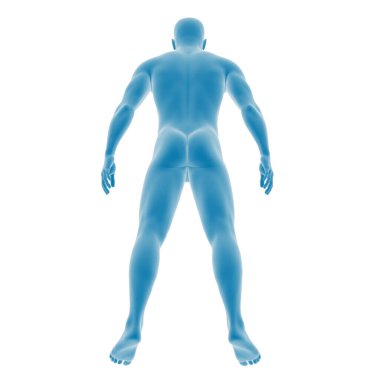 Biçimlendirilmiş mavi insan vücudu anatomisi çizimi.