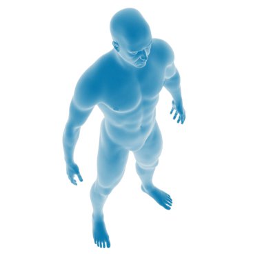 Mavi 3 boyutlu insan anatomisi modeli..