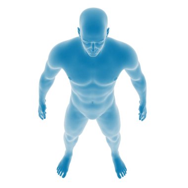 Bir erkek vücudunun dijital tasviri.
