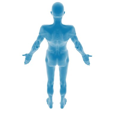 Arkadan 3 boyutlu mavi insan anatomisi modeli.